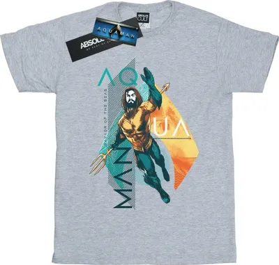 Produktbild von DC Comics - T-Shirt für Herren BI49291 (M) (Grau)