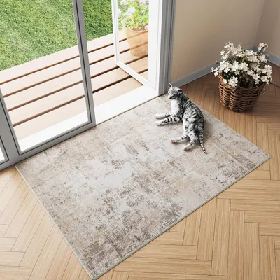 Immagine prodotto di Tappetino per interni, 60x90 cm, lavabile, beige/grigio, motivo astratto, forma rettangolare