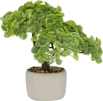 Produktbild von Kunstpflanze Bonsai Sedum multiceps H 24 cm