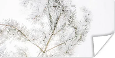 Produktbild von MuchoWow® Poster Winter - Schnee - Zweige 40x20 cm - Poster für die Wand - Poster Schlafzimmer