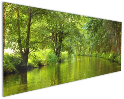 Produktbild von Wallario Küchenrückwand aus Glas, Größe: 125 x 50 cm, Motiv: Spreewald in Brandenburg  grüne Wälder und Spiegelungen im Wasser | Spritzschutz | abwischbar | pflegeleicht | in