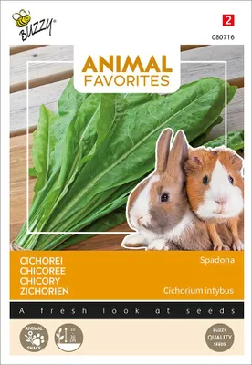 Produktbild von Grünfutter für Kleintiere Zichorien Spadona | Kleintiersaaten von Buzzy Seeds