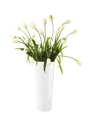 Image de Vase ASA, blanc MONO, diamètre 17 cm, hauteur 45 cm 1036005 Lot promotionnel comprenant 4 exemplaires de l'article mentionné, un cadeau et un don
