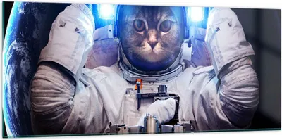 Produktbild von Bilder auf glas - Kosmonaut Katze - 120x50cm - Glasbilder - Wandbilder - Kunstdruck - zum Aufhängen bereit - Wanddekoration aus Glas - Glas Bilder - Wandbild auf Glas - Einteilig - GAB120x50-3734