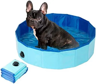 Produktbild von Pool: Faltbarer Hundepool mit rutschfestem Boden & Ablassventil, 80 x 20 cm (Faltbarer Pool, Faltbares Planschbecken, groß)