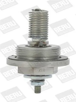 Image de Glühkerze BORGWARNER (BERU) GHA408
