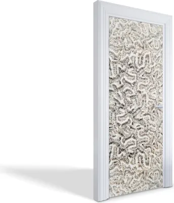 Produktbild von Türaufkleber Innentüren Selbstklebende Kreativ Wandsticker - Gehirnkoralle - 85 x 205 cm