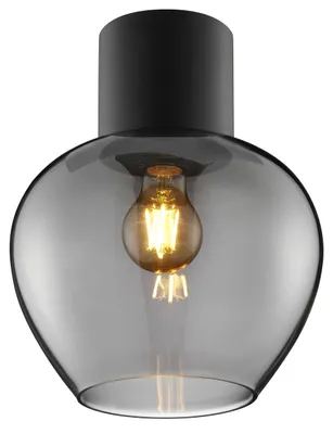 Obrázok produktu pre Stropné svietidlo Ligari, priemer 23 cm, čierna farba/dymové sklo, pätica E27, 20W, krytie IP20, určené pre vnútorné použitie