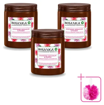 Produktbild von 3 x Botanica by Air Wick Geurkerze - Geranium & Rosen - Sparpackung - 3 Stücke