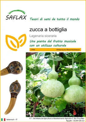 Immagine prodotto di SAFLAX  -  zucca a bottiglia - 15 semi - Lagenaria