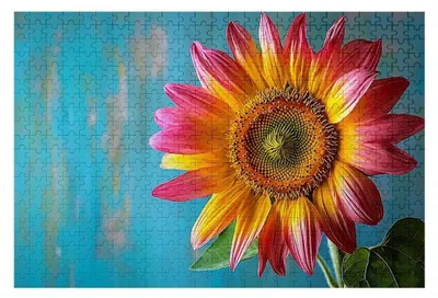 Productafbeelding van Puzzel 3000 Stukjes Bloemen voor Volwassenen