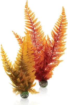 Obrázek produktu pro biOrb Aquatic autumn fern set 2