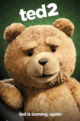 Produktbild von Ted 2 Poster Ted kommt, wieder 61 x 91,5 cm