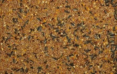 Produktbild von Wielink Streufutter – 20 kg