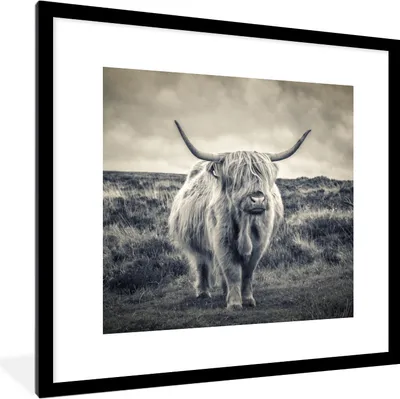 Produktbild von MuchoWow® Gerahmtes Poster Schottischer Hochländer - Tiere - Wolken - Kuh - Natur 40x40 cm - Poster mit Schwarzem Bilderrahmen Wandposter Rahmen Foto Bilder - Poster - Plakat im Rahmen