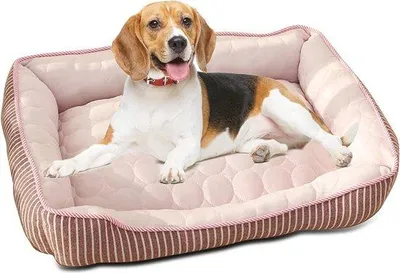 Produktbild von Hundebett für kleine und mittelgroße Hunde - Kühles, Sommergeeignet, Waschmaschinengeeignet
