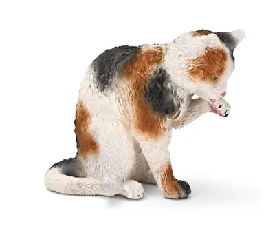 Zdjęcie produktu dla schleich 13675, 3 lat(a), Wielobarwny, Plastik