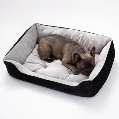 Produktbild von KANDONEX Orthopädisches Hundebett – Gelenkschonendes Hundesofa mit Komfort-Polsterung, Waschbares Hundekissen für Große, Mittelgroße & Kleine Hunde