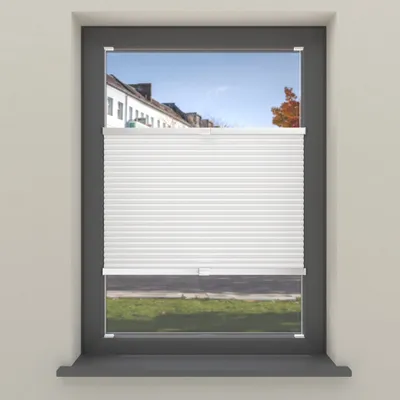 A white pleated blind is shown covering the lower part of a window, with a view of buildings and trees outside.