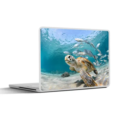 Produktbild von MuchoWow® Laptop Aufkleber Sticker Cover Schildkröte - Fisch - Meer 30x21 cm - Sticker für Laptop - Selbstklebend