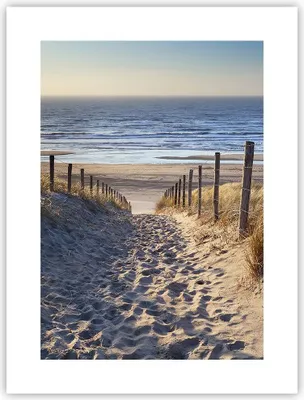 Produktbild von Poster - Poster ohne Rahmen - Meer Strand Düne - 30x40 cm - Wand Bild - Wanddeko - Wandbilder - Kunstposter - Wandposter - Bilder - Kunstdruck - Wanddekoration - Wandbild - P2XPA30x40-3612