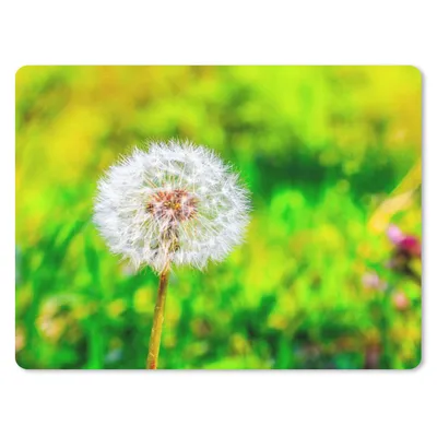 Produktbild von MuchoWow® Mauspad Mousepad Löwenzahn - Gras - Blume 23x19 cm - Mousepads - Maus Mat - Pad - Mausunterlage - Schreibtischunterlage - Mauspad