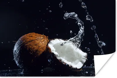 Produktbild von MuchoWow® Poster Kokosnuss - Stillleben - Wasser - Schwarz - Frucht 180x120 cm - Fotoplakat