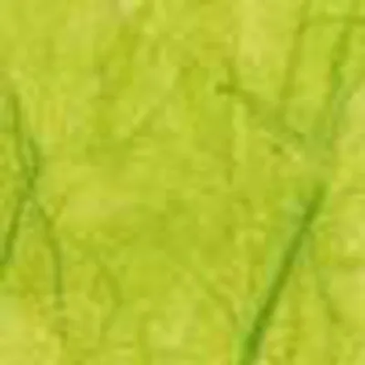 Obrázok produktu pre Strohseide 0,7x1,5m 25 g/qm limone