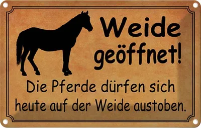 Produktbild von vianmo Blechschild 12x18 cm Weide geöffnet Pferde dürfen Warnschild Hinweisschild Sicherheit Vorsicht