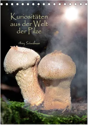Produktbild von Kuriositäten aus der Welt der Pilze (Tischkalender 2026 DIN A5 hoch), CALVENDO Monatskalender