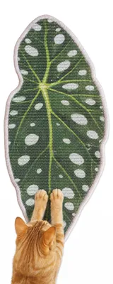 Image de Tapis en sisal pour chat, dimensions 28 x 69 cm