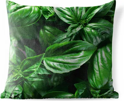 Produktbild von MuchoWow® Outdoor Kissen - Nahaufnahme Basilikumblätter - 40x40 cm - Wetterfest - Lounge Kissen - Kopfkissen - Interieur - Polster mit Bild