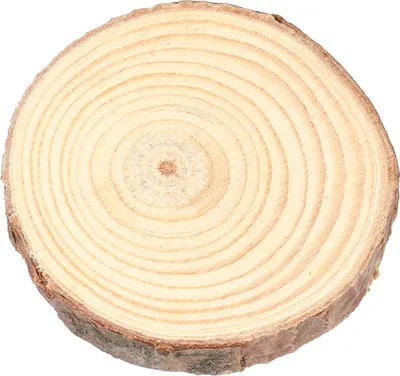 Obrázek produktu pro Přírodní dřevěné kotouče z borovice, kulaté, pro kutily, malování a slavnostní dekorace, 5–6 cm