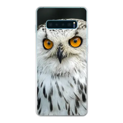 Produktbild von MuchoWow® Handyhülle Schutzhülle Hülle für Samsung Galaxy S10 Lite Eine braune Eule mit orangefarbenen Augen Silikon Softcase Handy Hülle - Schutz