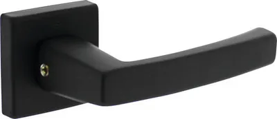 Produktbild von Türdrücker auf Rosette Intersteel Moora schwarz matt 2 Stück