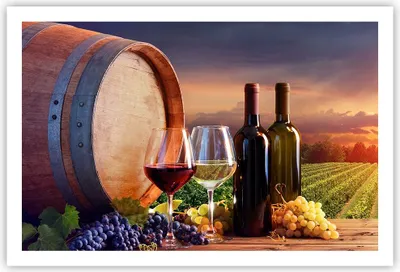 Produktbild von Poster - Poster ohne Rahmen - Wein Weinberg Sommer - 91,5x61 cm - Wand Bild - Wanddeko - Wandbilder - Kunstposter - Wandposter - Bilder - Kunstdruck - Wanddekoration - Wandbild - P2XAA91x61-4125