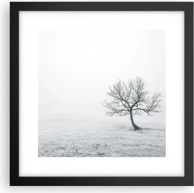 Produktbild von Gerahmtes Poster - Schwarzer Rahmen - Baum Feld Natur - 30x30 cm - Wand Bild - Wanddeko - Wandbilder - Kunstposter - Wandposter - Bilderrahmen - Bilder - Kunstdruck - Wandbild - P2BAC30x30-3683