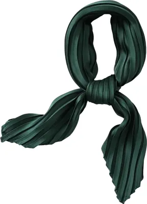 Produktbild von Halstuch ES-33831 - Dunkelgrün für Ihr Outfit KP33831