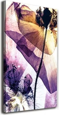 Produktbild von Tulup Leinwandbild® - 70x140cm - Wandkunst - Drucke auf Leinwand - Leinwanddruck - Wohnzimmer Wanddekoration XXL - Wohnung Deko Kunstdrucke - Blumen & Pflanzen - Lila - Maki