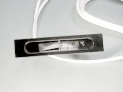 Image de Thermometre Plat      85000014