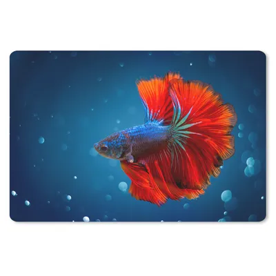 Produktbild von MuchoWow® Schreibtischunterlage Fisch - Wasser - Rot 60x40 cm - XXL Mauspad - Großes Mauspad