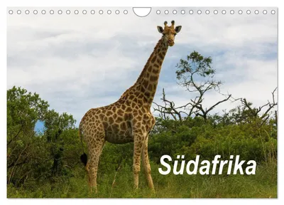 Produktbild von Kalender 2027 · US-Version · Südafrika (Wandkalender 2027 12" × 8" Querformat), CALVENDO 12-Monats-Wandkalender