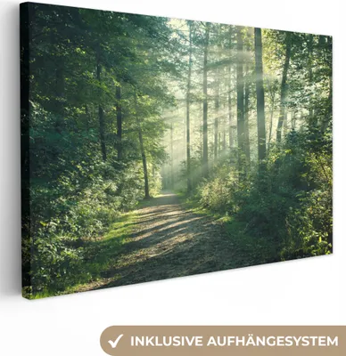 Zdjęcie produktu dla MuchoWow® - Obraz na płótnie - Las - Ścieżka - Słońce - Drzewa - Zieleń - Natura, obraz na ścianę, obrazy dekoracyjne do salonu, 90x60cm