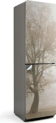 Zdjęcie produktu dla Detal liścia rośliny - Naklejka na lodówkę - Naklejka na lodówkę - Dekoracja lodówki - Samoprzylepna folia na lodówkę - Dekoracja kuchni - 60x205 cm