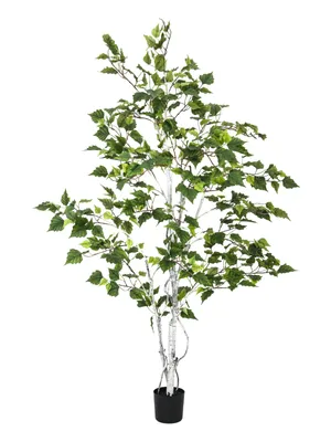 Immagine prodotto di EUROPALMS Betulla, pianta artificiale, 150 cm (82505230)