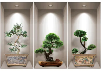 Obrázek produktu pro Samolepky s 3D efektem s motivem japonských bonsají, 60 x 90 cm