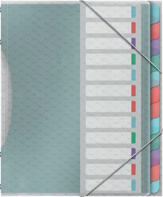 Produktbild von Esselte Ordnungsmappe Colour'Breeze A4 PP 12 Fächer