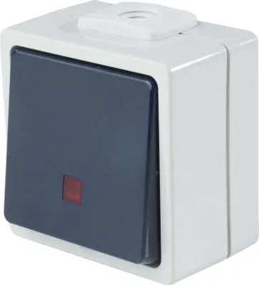 Produktbild von as-Schwabe Aufputzschalter Taster Licht 2 Leitungseinführungen 230V 10A IP54
