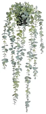 Produktbild von Künstliche Hängepflanze Eukalyptus 1 Stück PVC 3,5" x 24,8" Schwarz Topf