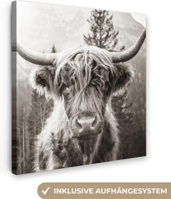 Obrázok produktu pre MuchoWow® - Plátno - Škótsky horal - Krava - Zvieratá - Čierna - Biela, fototapeta, nástenné dekorácie obrazy obývacia izba, 50x50cm